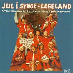 Juletræet Se, Er Pyntet Fint Med Sne