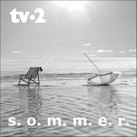 S.O.M.M.E.R.