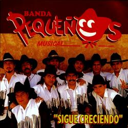 Vuela, vuela