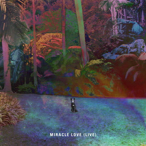 Miracle Love