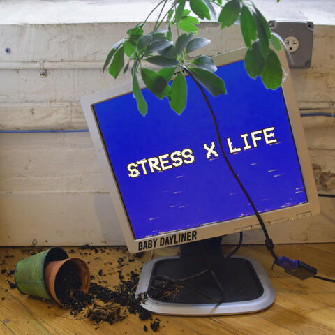 Stress X Life