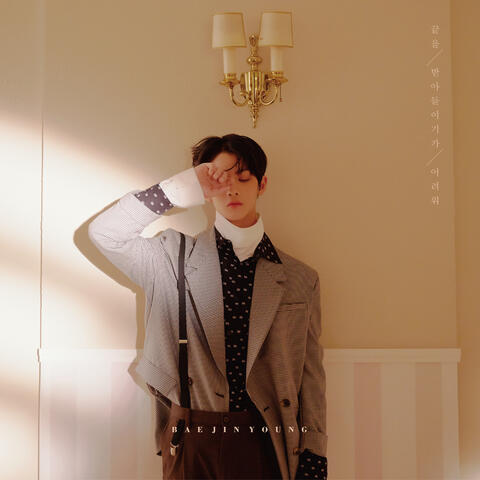 Bae Jin Young