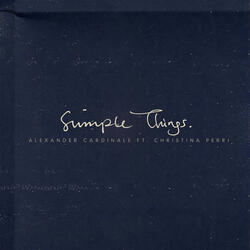 Simple Things (feat. Christina Perri)