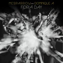 For a Day (avec Dominique A)