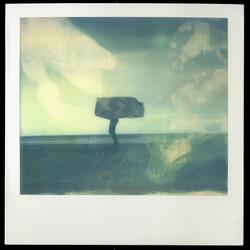 Polaroïd