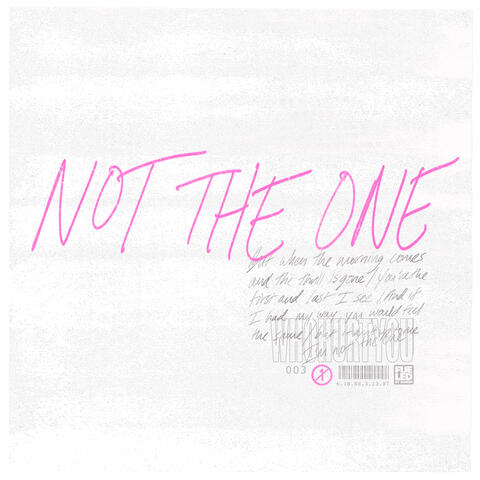 Not The One