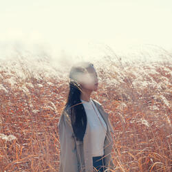 Solitude In Autumn