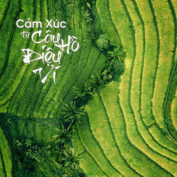 Cảm Xúc Từ Câu Hò Điệu Ví