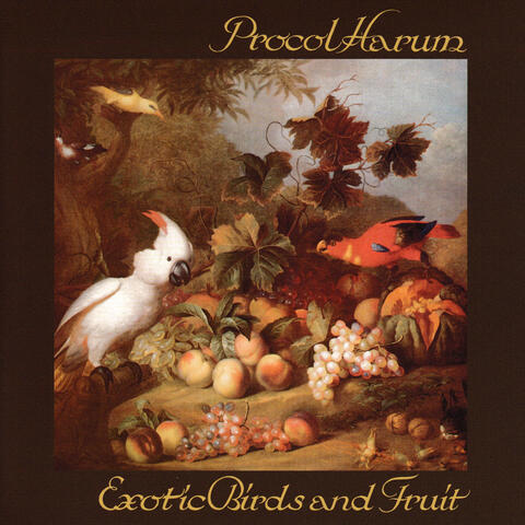 Exotic Birds and Fruit