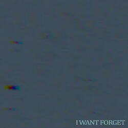 I Want To Forget