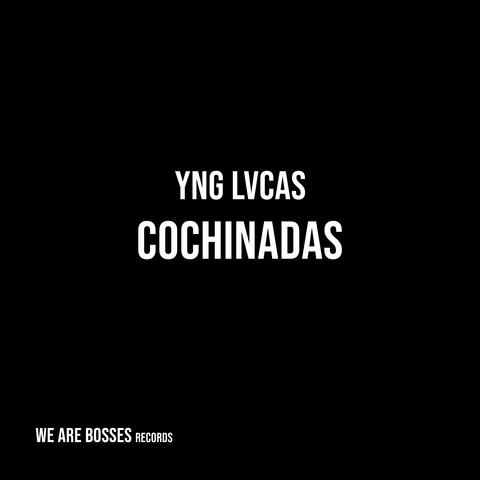 Cochinadas