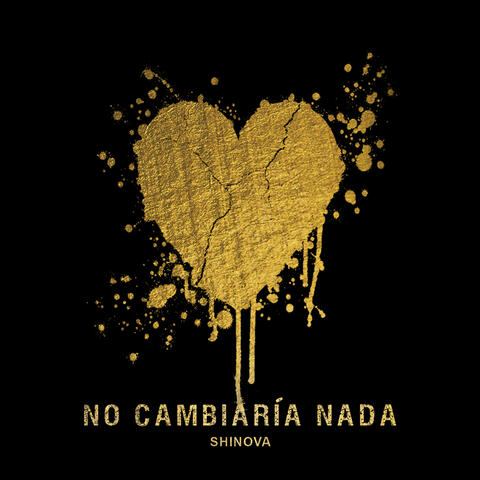 No cambiaría nada