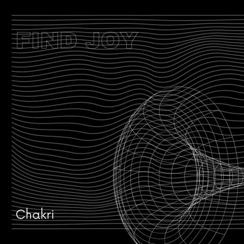 Find joy