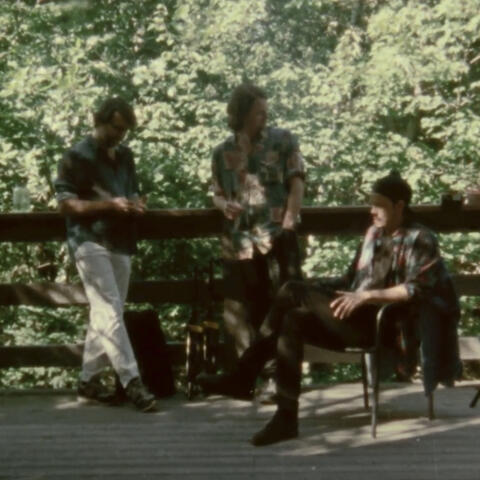 Live from the Treehouse