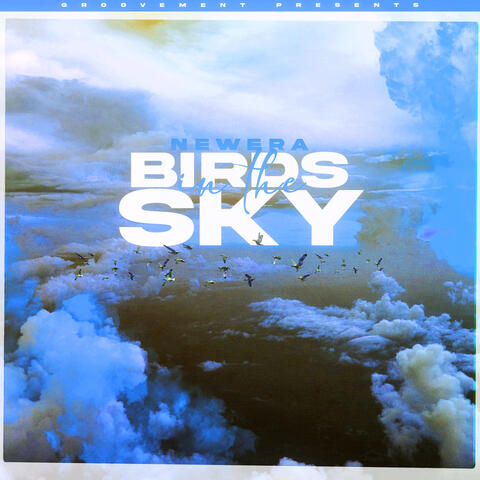 Birds In The Sky