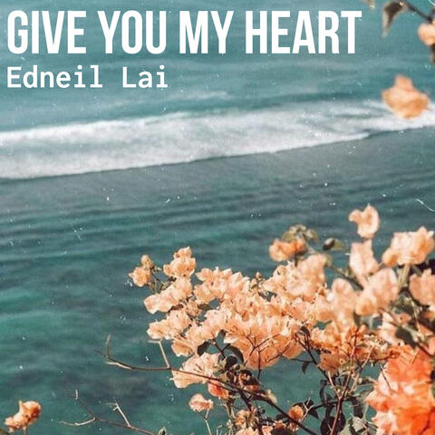 Give You My Heart