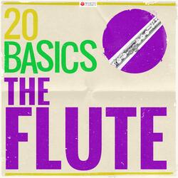 Sonata in B-Flat Major for Flute and Piano, Anh. 4: I. Allegro moderato
