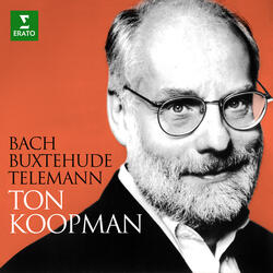 Telemann: Tafelmusik, Pt. 3: Ouverture-Suite in B-Flat Major, TWV 55:B1: III. Allégresse. Vite - Meno mosso
