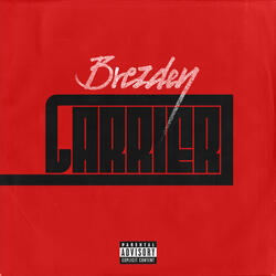 Carrier