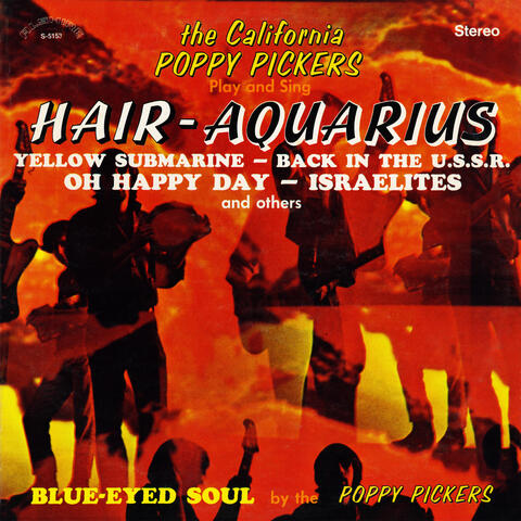 Hair - Aquarius
