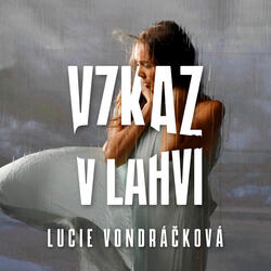 Vzkaz v lahvi