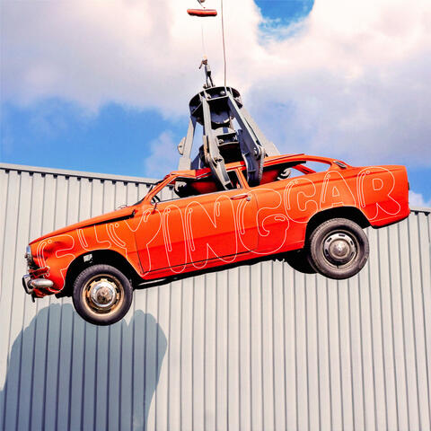 Flying Car