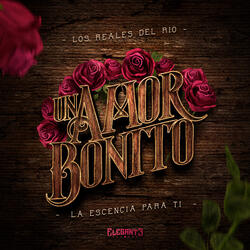 Un Amor Bonito