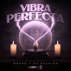 Vibra Perfecta