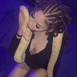 Ssluts&Ssnakes