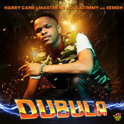 Dubula (feat. DJ Latimmy)