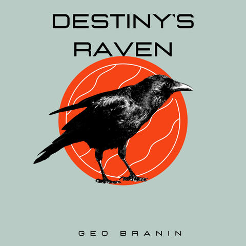 Destiny's Raven