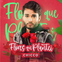 Flores que Plantei