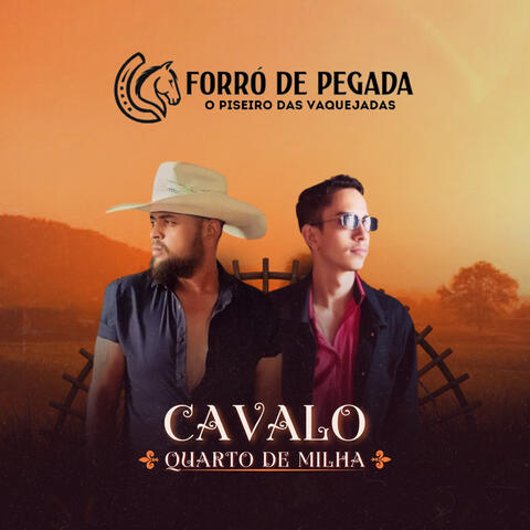 Cavalo Quarto de Milha