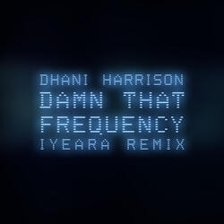 Damn That Frequency