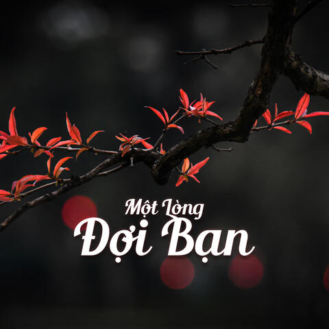 Một Lòng Đợi Bạn