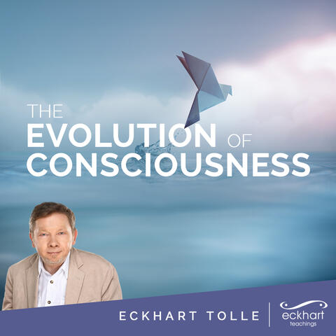 The Evolution of Consciousness