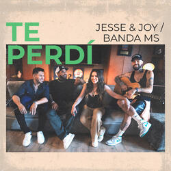 Te Perdí