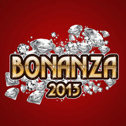 Bonanza 2013