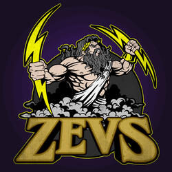 ZEVS 2015