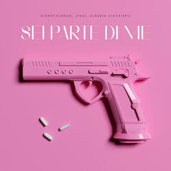 Sei parte di me (feat. Claudia Ciccateri)