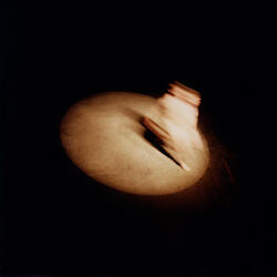 Embryo