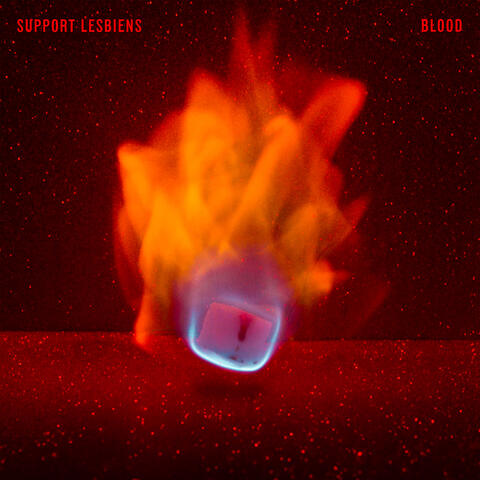 Blood