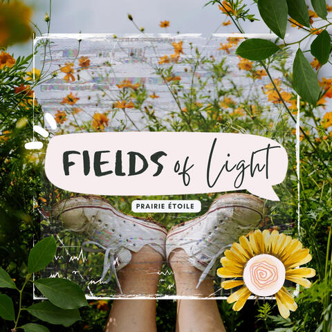 Fields of Light