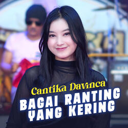 Bagai Ranting Yang Kering