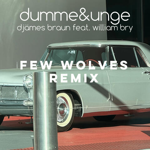 dumme&unge (Freestyle) [Few Wolves Remix]