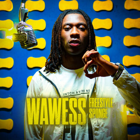 WAWESS FREESTYLE SPONGE