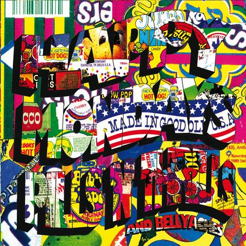 Pills 'N' Thrills And Bellyaches