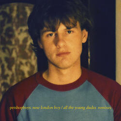 All the young dudes