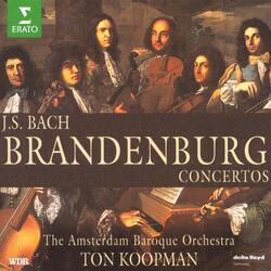 Bach, JS: Brandenburg Concerto No. 6 in B-Flat Major, BWV 1051: II. Adagio ma non tanto