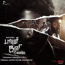 Anicha Poove